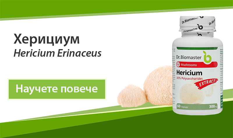 Екстракт от лечебна гъба Херициум (Hericium Erinaceus) 30% на Dr. Biomaster