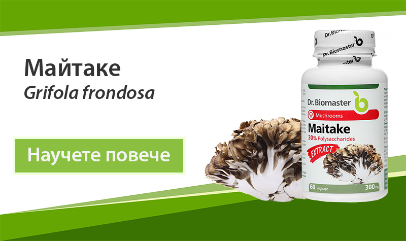 Екстракт от лечебна гъба Майтаке (Grifola frondosa) 30% на Dr. Biomaster