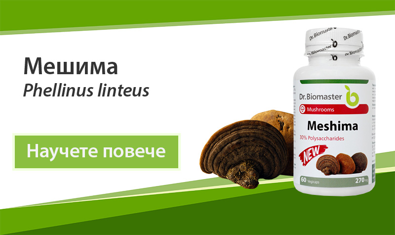 Екстракт от лечебна гъба Мешима (Phellinus linteus) 30% на Dr. Biomaster