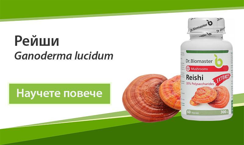Екстракт от лечебна гъба Рейши (Ganoderma lucidum) 30% на Dr. Biomaster
