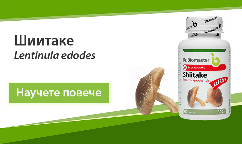 Екстракт от лечебна гъба Шиитаке (Lentinula edodes) 30% на Dr. Biomaster