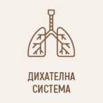 Дихателна система