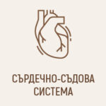 Сърдечно-съдова система