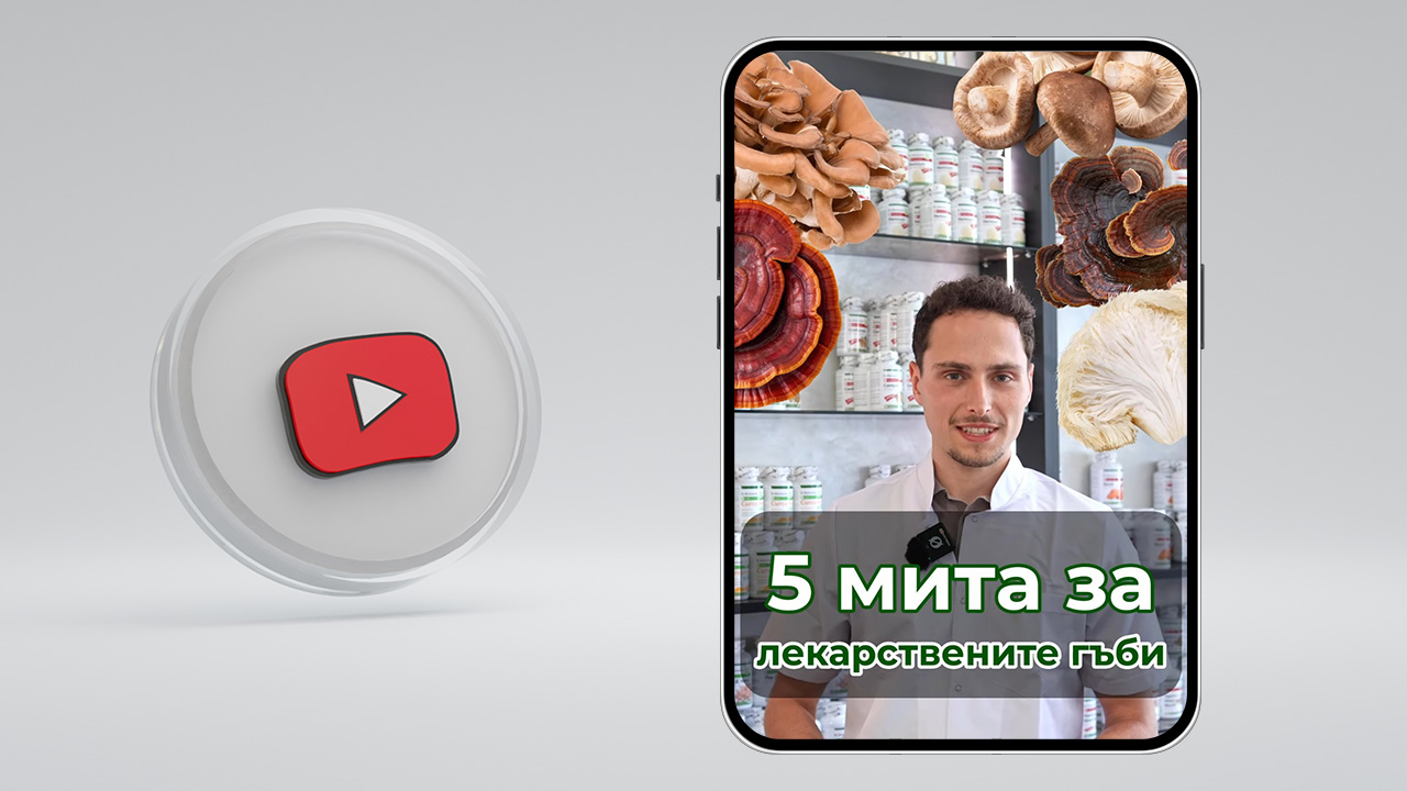 5 мита за лекарствените гъби