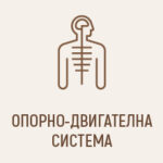 Опорно-двигателна система