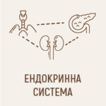 Ендокринна система