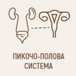Пикочо-полова система