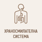 Храносмилателна система