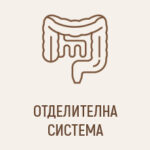 Отделителна система